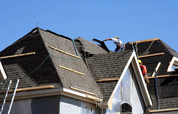 Best Shingle Roofing Installation  in Tainter Lake, WI