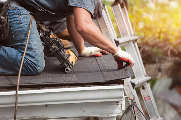 Best Roof Gutter Cleaning  in Tainter Lake, WI