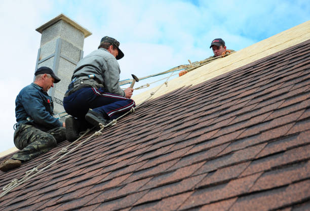 Best Shingle Roofing Installation  in Tainter Lake, WI