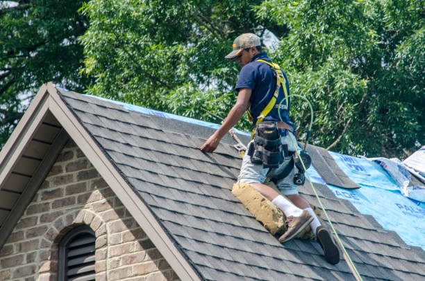 Best Flat Roof Repair Services  in Tainter Lake, WI